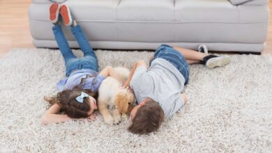 Duas crianças e um cachorro sobre um tapete felpudo ilustrando o artigo sobre como lavar tapete peludo.